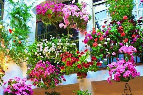 How to Build a Hanging Basket image 1