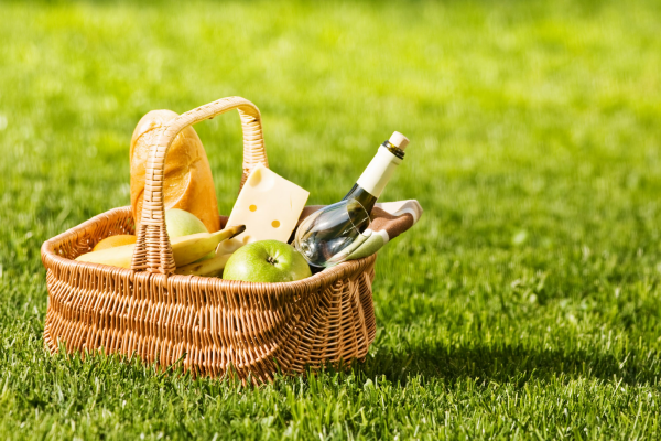 National Picnic Month 2021 July 1 - July 30